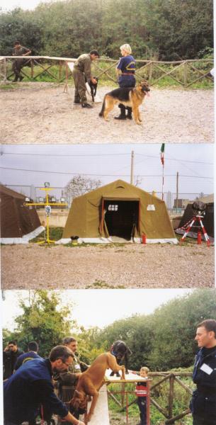 FALCHI DEL SUD3.jpg