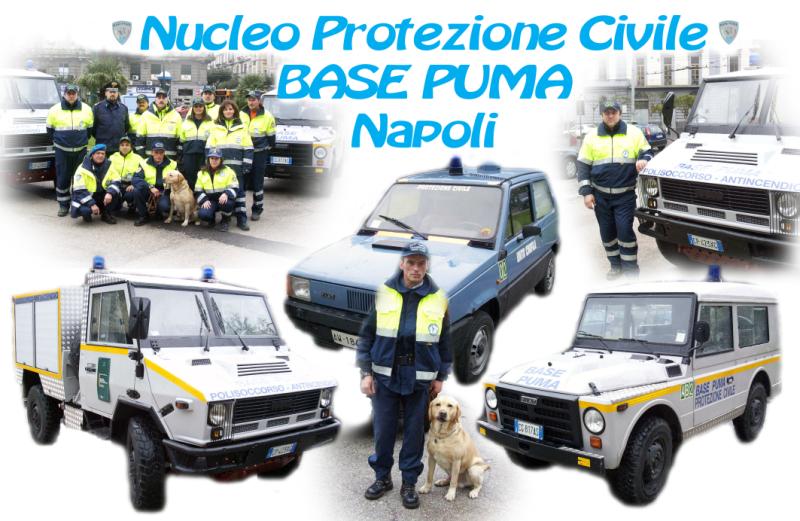 Base Puma.jpg